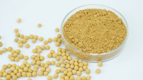 2025 Very Food 创新奖回顾・原料篇④ | 年度肠道健康原料出圈，赋能全民健康新生态