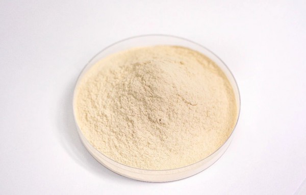 2025 Very Food 创新奖回顾・原料篇④ | 年度肠道健康原料出圈，赋能全民健康新生态