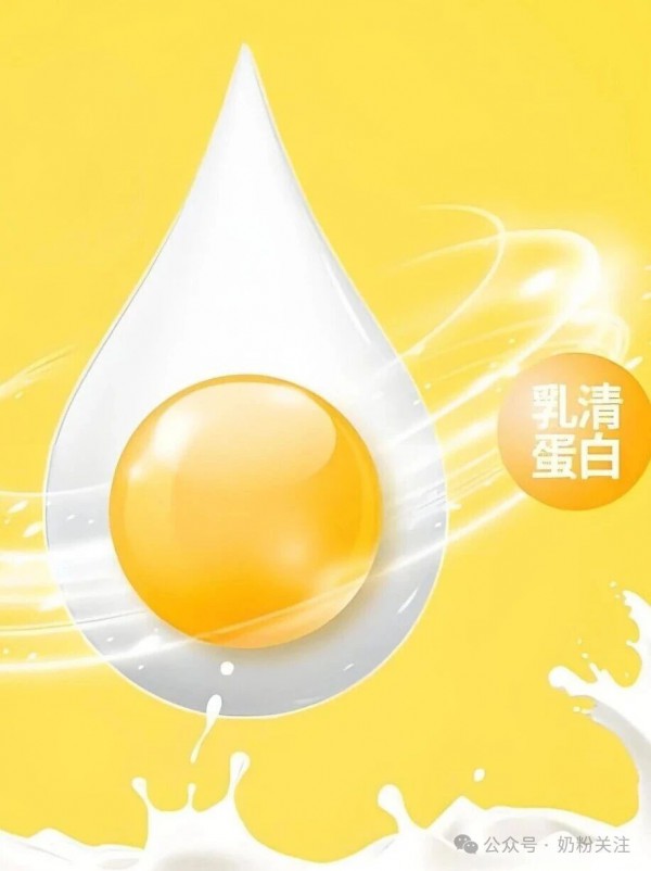 乳清蛋白成押注点，菲仕兰加码