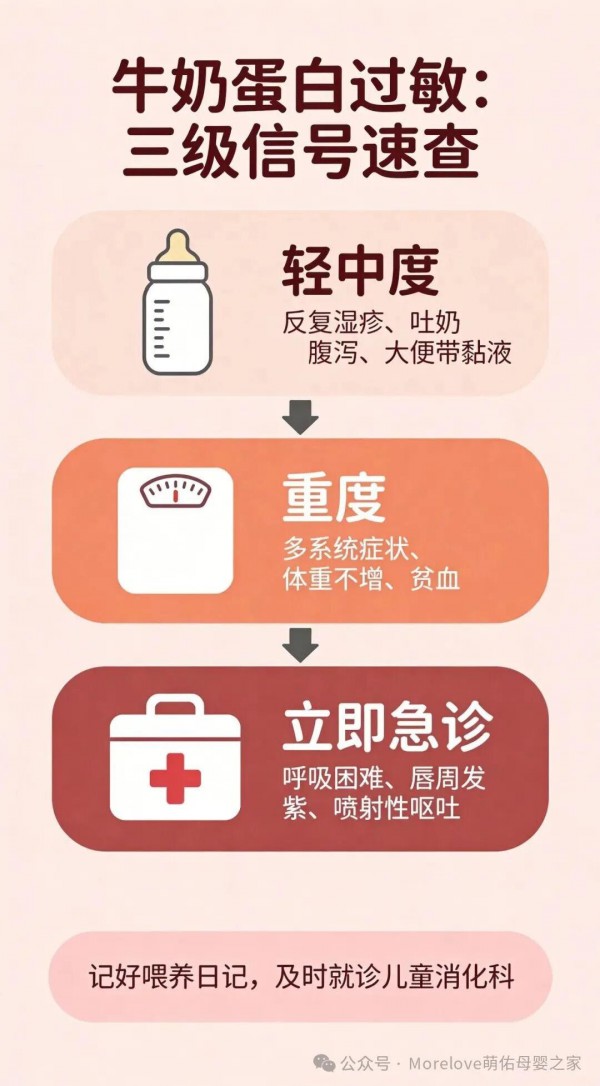 牛奶蛋白过敏怎么办？三级症状识别+特殊奶粉阶梯选择