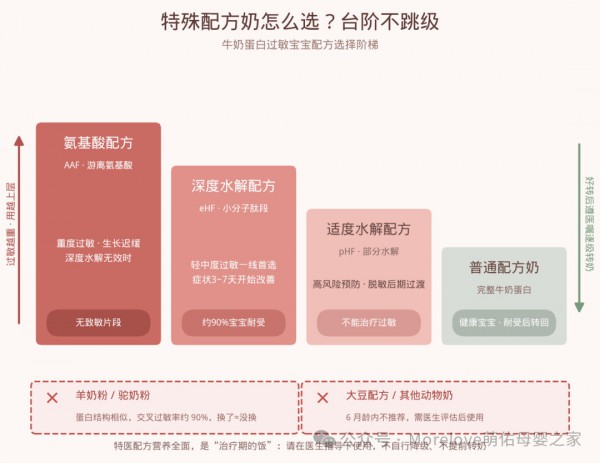牛奶蛋白过敏怎么办？三级症状识别+特殊奶粉阶梯选择