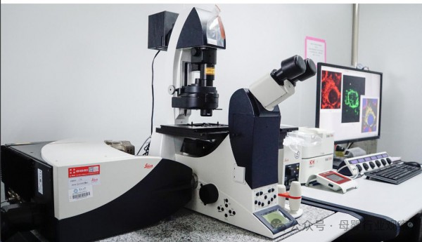 升级精简科学守护，Masata理念、科研、成分三线并进，凝聚婴童护肤可信品质