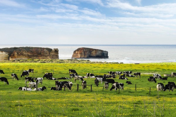 从配方叙事到供应链透明，婴配粉正进入“结构升级时代”
