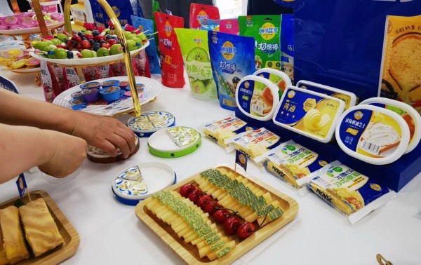 从牛奶到“奶黄金”：一文读懂奶酪的营养密码与选购之道