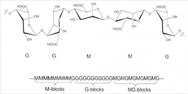 新食品原料再添一员！这一“深海来客”能呵护肠道、调节代谢