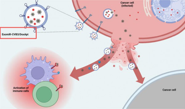 315打假，反而把外泌体打火了？