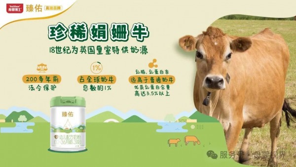 百年娟姗鲜活生牛乳，育婴博士臻佑奶粉焕新上市