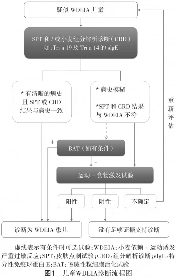 儿童吃面食后运动别大意！警惕这种致命的特殊过敏