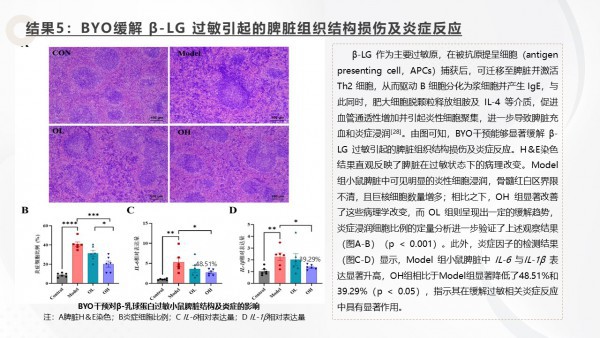 重磅❗中国农业大学最新研究证实：小金旦奶品伴侣改写牛奶蛋白过敏管理 将进入"主动干预"的新时代❗