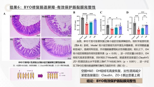 重磅❗中国农业大学最新研究证实：小金旦奶品伴侣改写牛奶蛋白过敏管理 将进入"主动干预"的新时代❗
