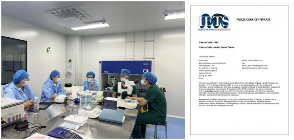 从种源突围到产业协同：奶牛种业自主创新与健康养殖缺一不可