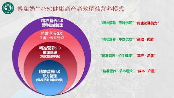 从种源突围到产业协同：奶牛种业自主创新与健康养殖缺一不可