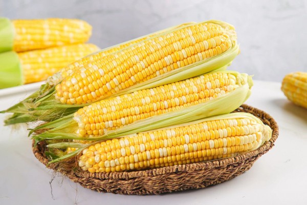 膳食免疫功能新突破，玉米黄质的应用场景持续深化