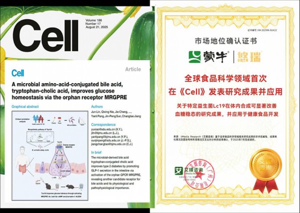 回看蒙牛2025年财报：跳出价格内卷，以价值创造穿越周期