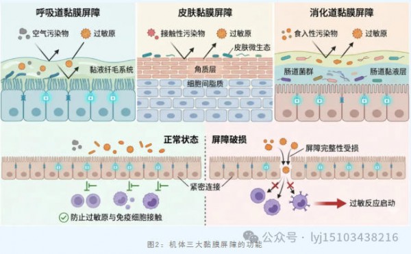 隐形“致敏凶手”藏在身边！新型污染物，正在悄悄诱发你的过敏