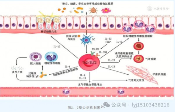 隐形“致敏凶手”藏在身边！新型污染物，正在悄悄诱发你的过敏