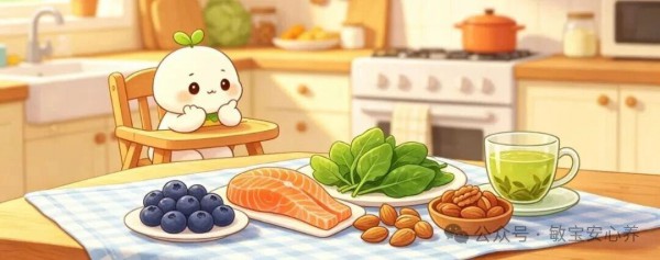 敏宝调理核心：破解过敏与营养缺乏的恶性循环
