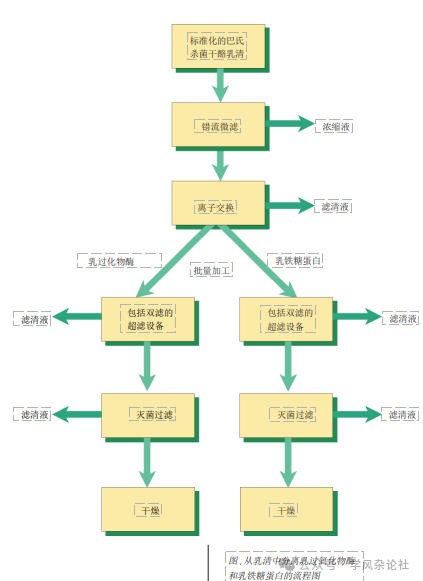 乳品加工---乳清加工4 乳品加工---乳清加工4
