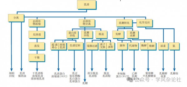 乳品加工---乳清加工4 乳品加工---乳清加工4