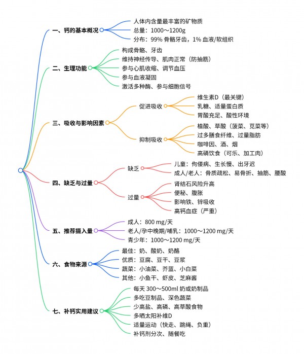 钙是人体必需的矿物质