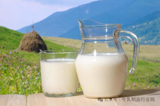 别再盲目追求“高钙”，牛奶补钙，这几点比钙含量更重要