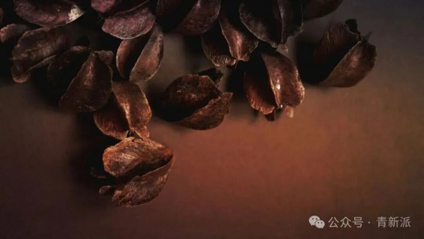 你大概率缺镁，而且不知道：这种最被低估的矿物质正在拖你的睡眠、肌肉和情绪后腿