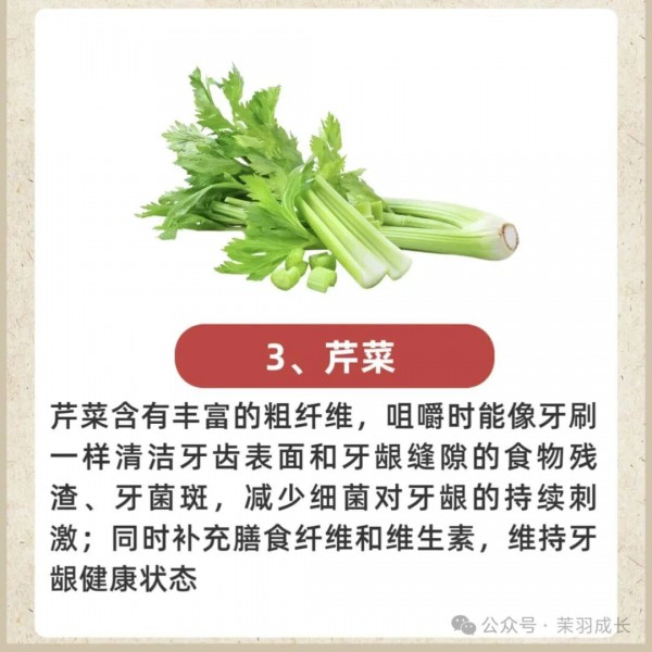 防止牙龈萎缩要多吃这些食物
