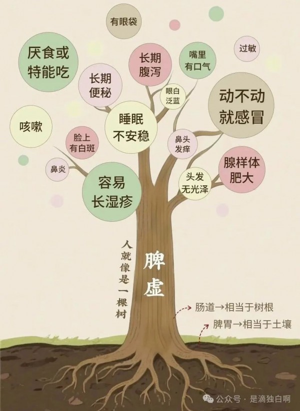 养好脾胃，孩子少生病、长得壮 ！
