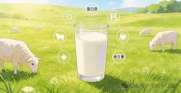 羊奶粉到底好在哪？一篇讲透