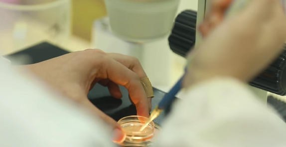 小金旦奶品伴侣，天然营养科学实证再获权威认可！