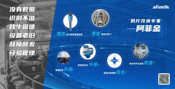 奶厅焕新，效率升级 —— 阿菲金升级改造方案实现四大管理突破!