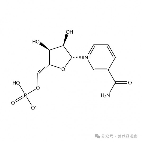 欧盟食安局释放积极信号，NMN获批有望？