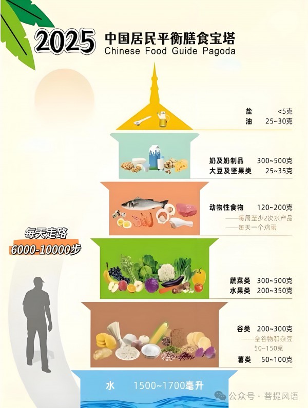 科学减重 -- 消化系统篇！