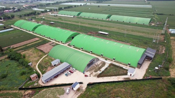 投资1.42亿元，年产2万吨羊液态奶项目即将投产