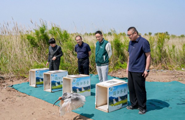 彰显时代担当！菲仕兰聚力守护地球免疫力，以生态担当护航母婴长远未来