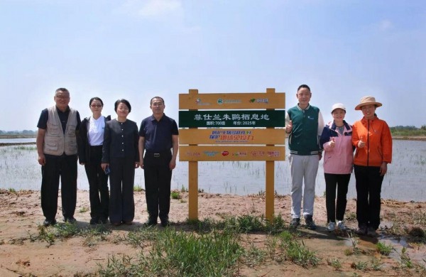 彰显时代担当！菲仕兰聚力守护地球免疫力，以生态担当护航母婴长远未来
