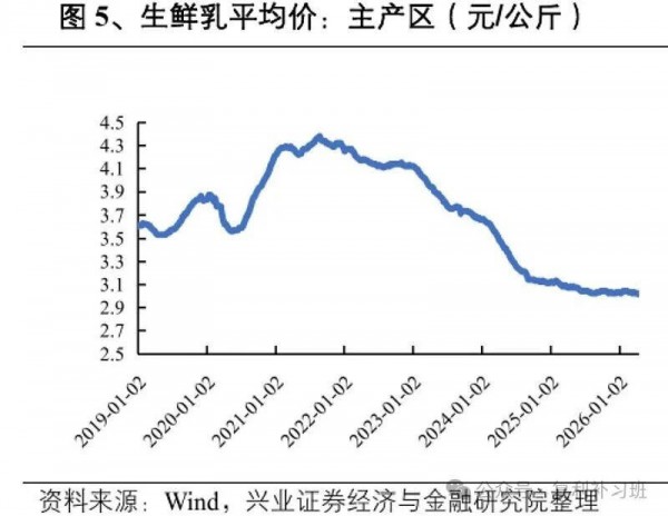 伊利2026：原奶拐点已至，乳业龙头如何开启新五年？