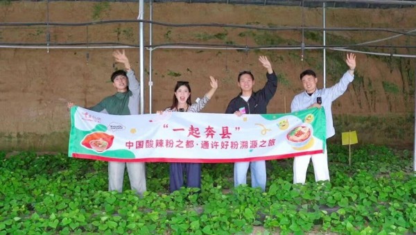 溯源中国酸辣粉之都！从一株薯苗到百亿产业，通许凭全链实力领跑