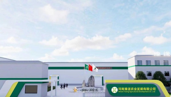 溯源中国酸辣粉之都！从一株薯苗到百亿产业，通许凭全链实力领跑