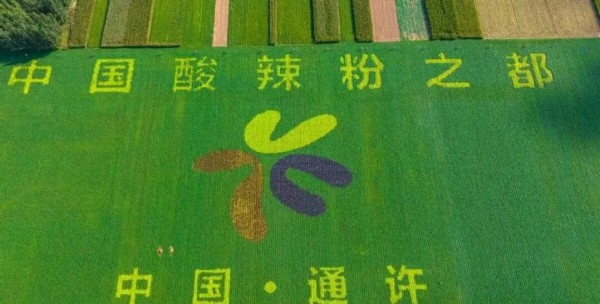 溯源中国酸辣粉之都！从一株薯苗到百亿产业，通许凭全链实力领跑