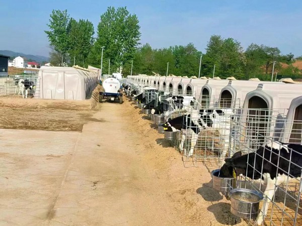 总投资3.35亿元的陕西卫洛乳业奶牛养殖场挤奶设备正式投用