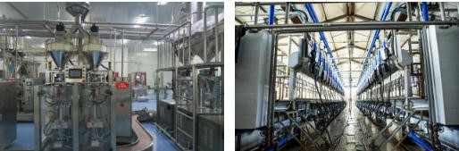 长青树！定边乳业近80年红色基因与匠心精神，成为母婴渠道信赖的压舱石！