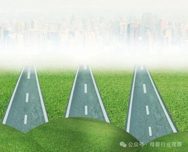 辅食、洗护、营养品：那些被风口“催熟”的品类，越沉淀越稳？