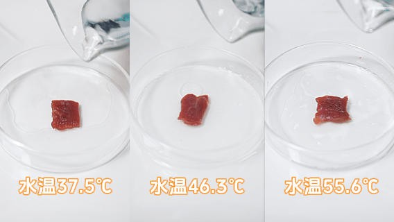 40~50℃的奶会烫伤宝宝？最佳喝奶温度是多少？我们做了个实验…