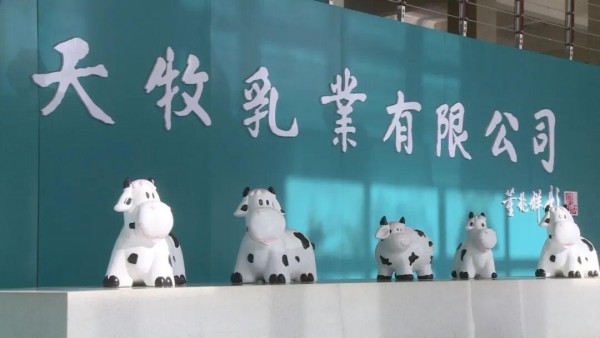 2026年以来，哪些乳企还在卖牛？天润、皇氏、燕塘等10家在列