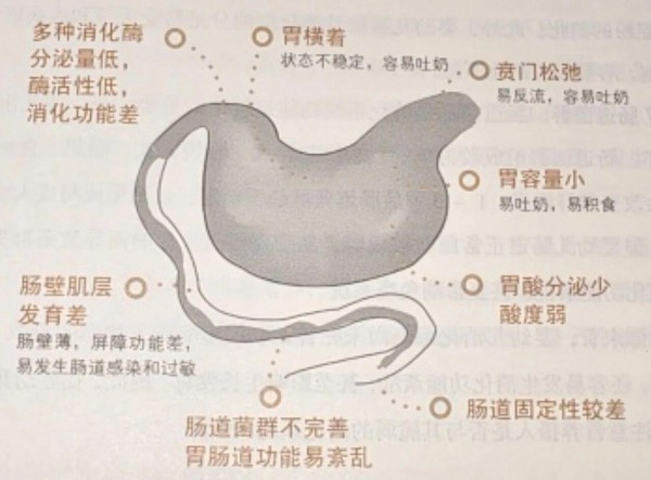 新手爸妈注意：这10个操作看似正常，实则害娃！尤其第7个