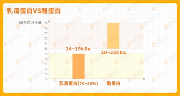 为什么建议喝小分子奶粉？这篇告诉你！