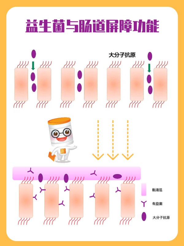 过敏宝宝到底能不能吃营养品？DHA、益生菌、钙铁锌、维生素D、乳铁蛋白食用指南！