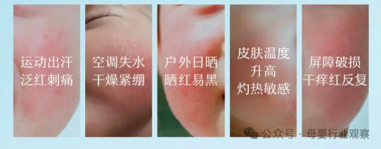 从概念热到标准化：松达以专业山茶油科研沉淀，接住千万敏宝家庭的育儿焦虑