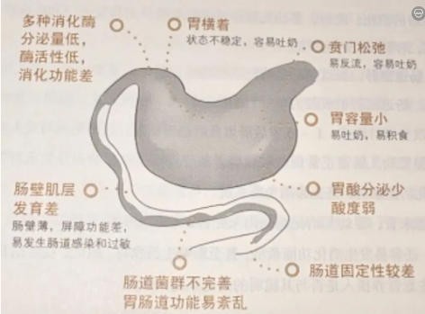 其实宝宝早就消化不良了！这5种日常表现千万别忽视 | 附最新对策